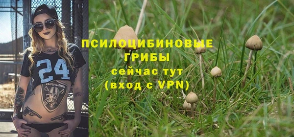 МДПВ Алексеевка