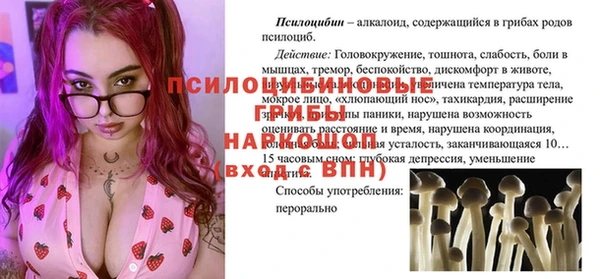 МДПВ Алексеевка