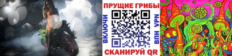 Псилоцибиновые грибы Cubensis Крым